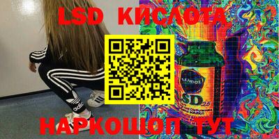 шишки Берёзовский